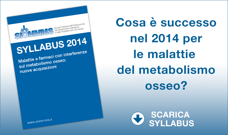 Syllabus SIOMMMS 2014