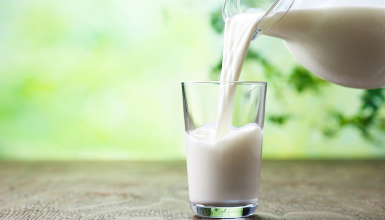 Il latte vaccino: un alimento da rivalutare