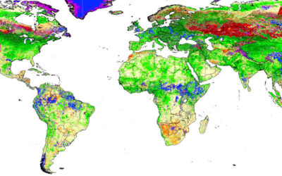 Associazione tra contesto abitativo verde e densità minerale ossea