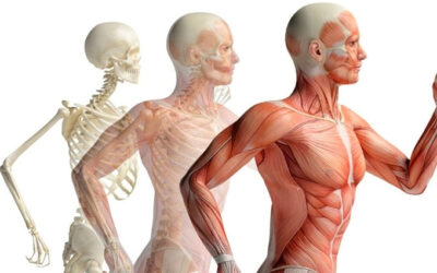 Rischio di frattura in donne in età avanzata con diabete mellito di tipo 2