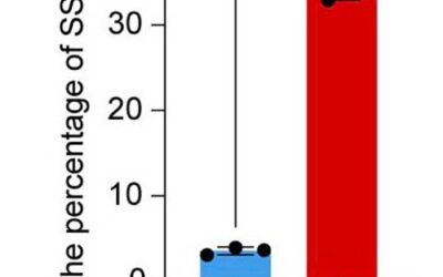 ITM2A: nuovo marker per le cellule staminali scheletriche periostali