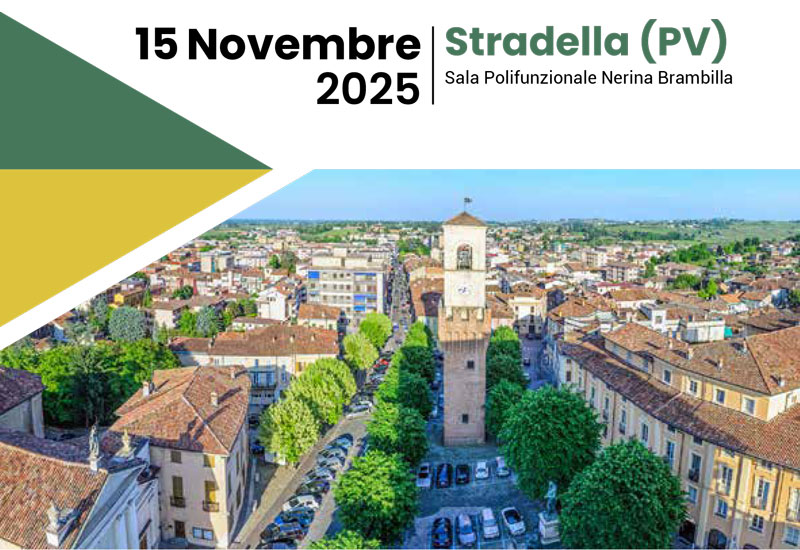 II Giornata Reumatologica in ASST Pavia