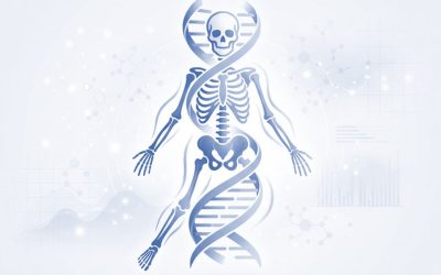 Proposed diagnostic criteria for the diagnosis of hypophosphatasia in children and adolescents