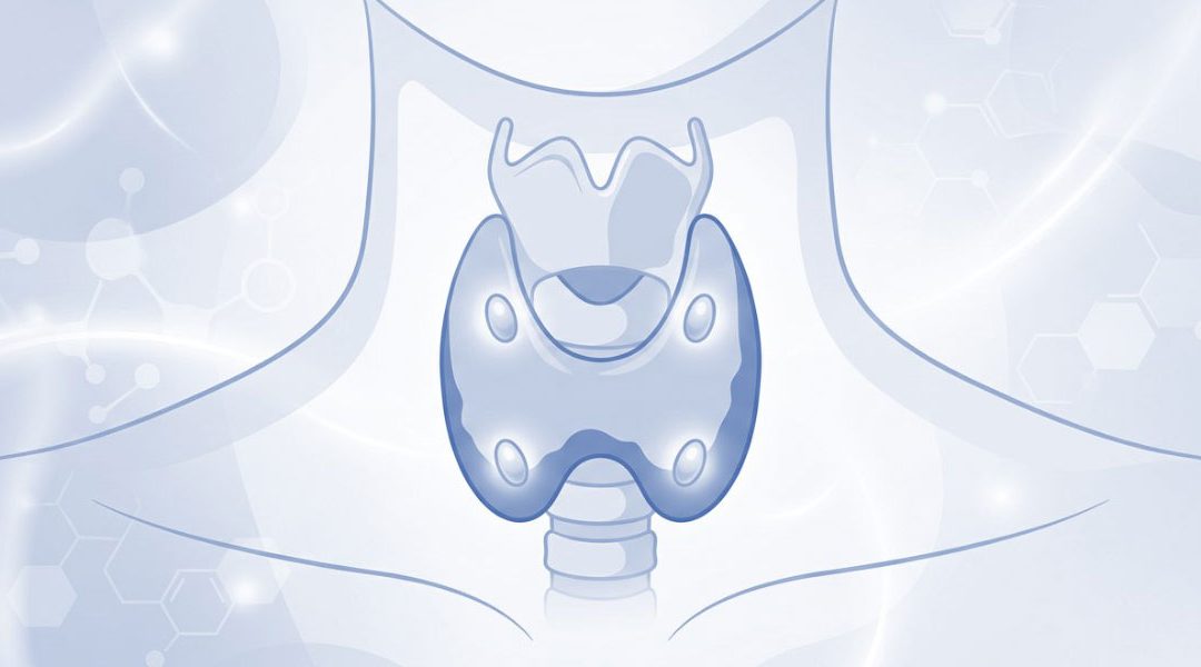 Revised European Society of Endocrinology Clinical Practice Guideline: Treatment of Chronic Hypoparathyroidism in Adults