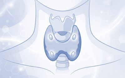 Revised European Society of Endocrinology Clinical Practice Guideline: Treatment of Chronic Hypoparathyroidism in Adults